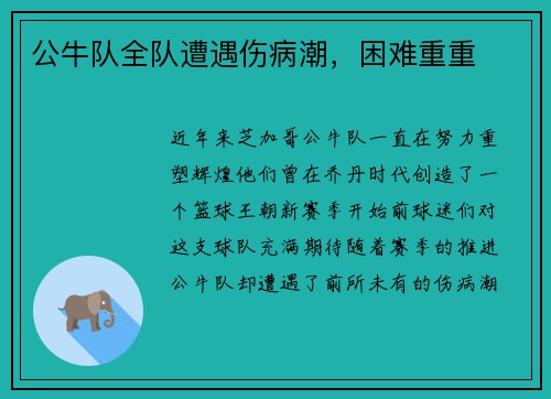 公牛队全队遭遇伤病潮，困难重重